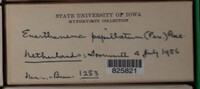 Image Associated With the Occurence